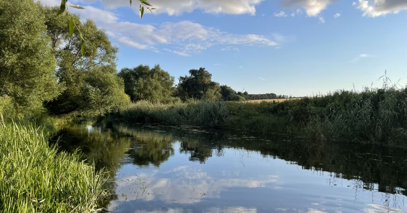 Smuk udsigt over vild natur langs Susåen